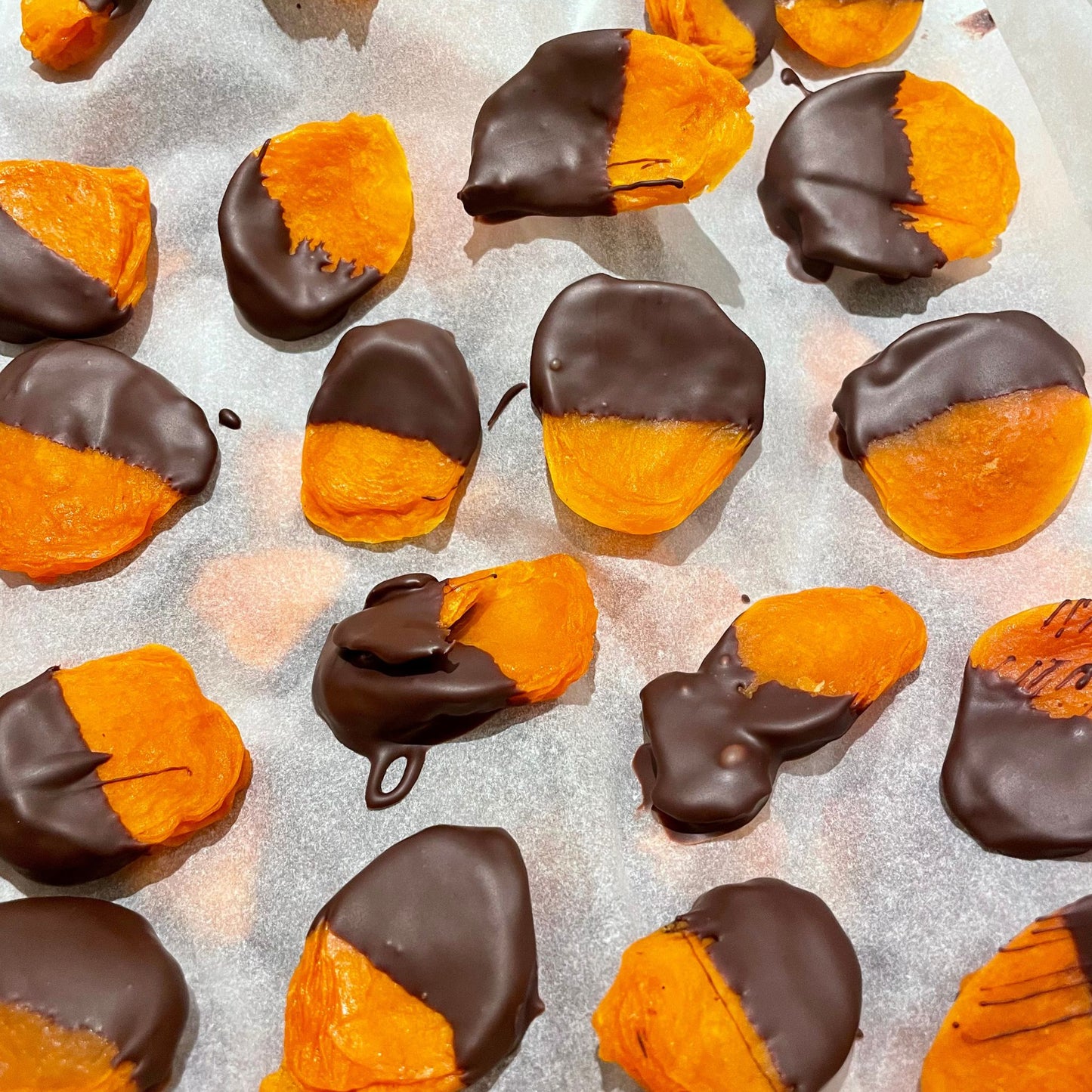 overhead view of single layer of multiple half dipped chocolate apricots on parchment paper.