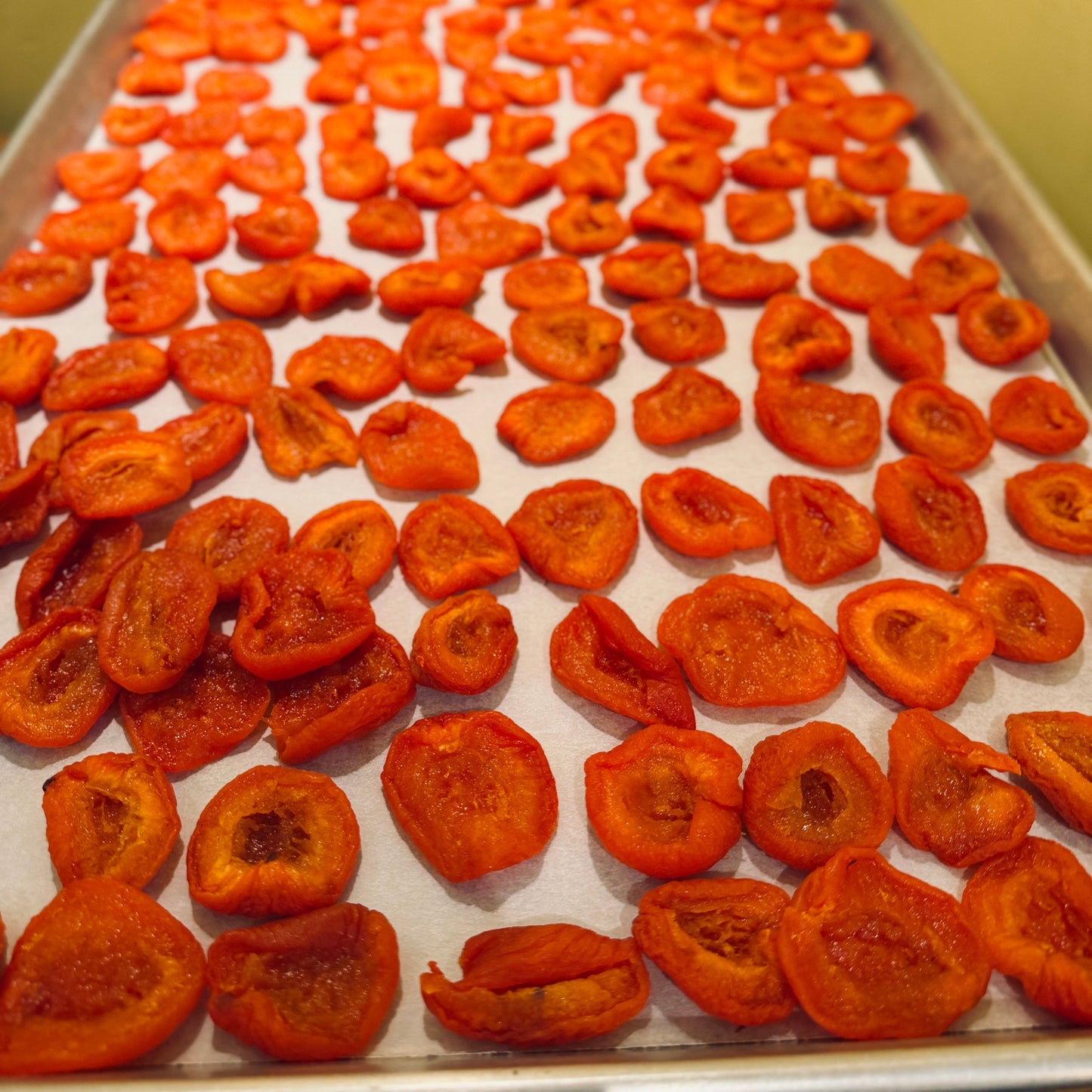 Dried apricots on a baking tray with a yellow wall background