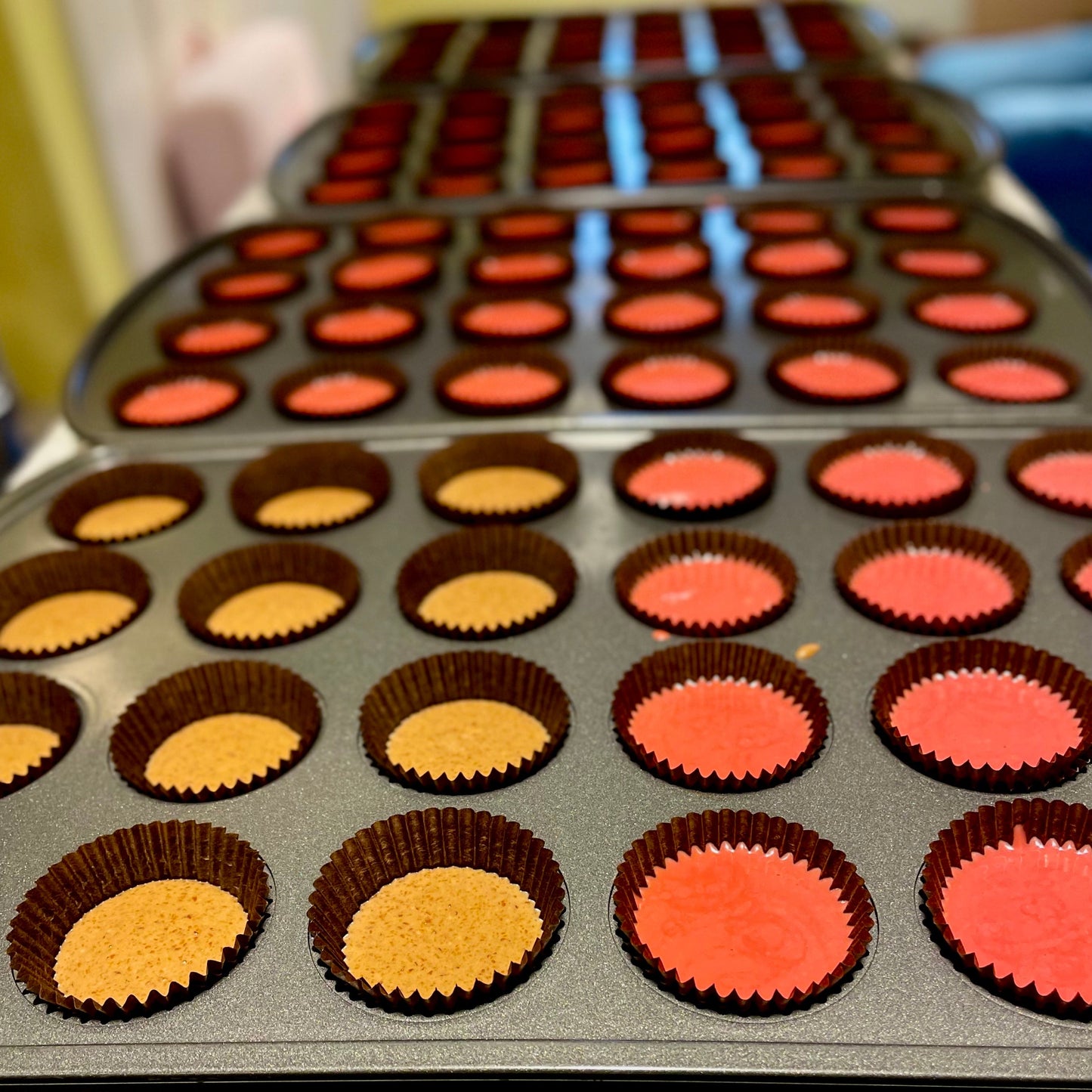 Baking trays with cupcake liners filled with different colored praline and ganache.