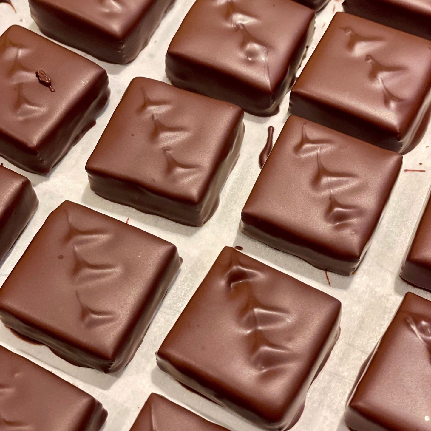 overhead view of square dark chocolate bonbons with decorative topping sitting in a grid on top of parchment paper.