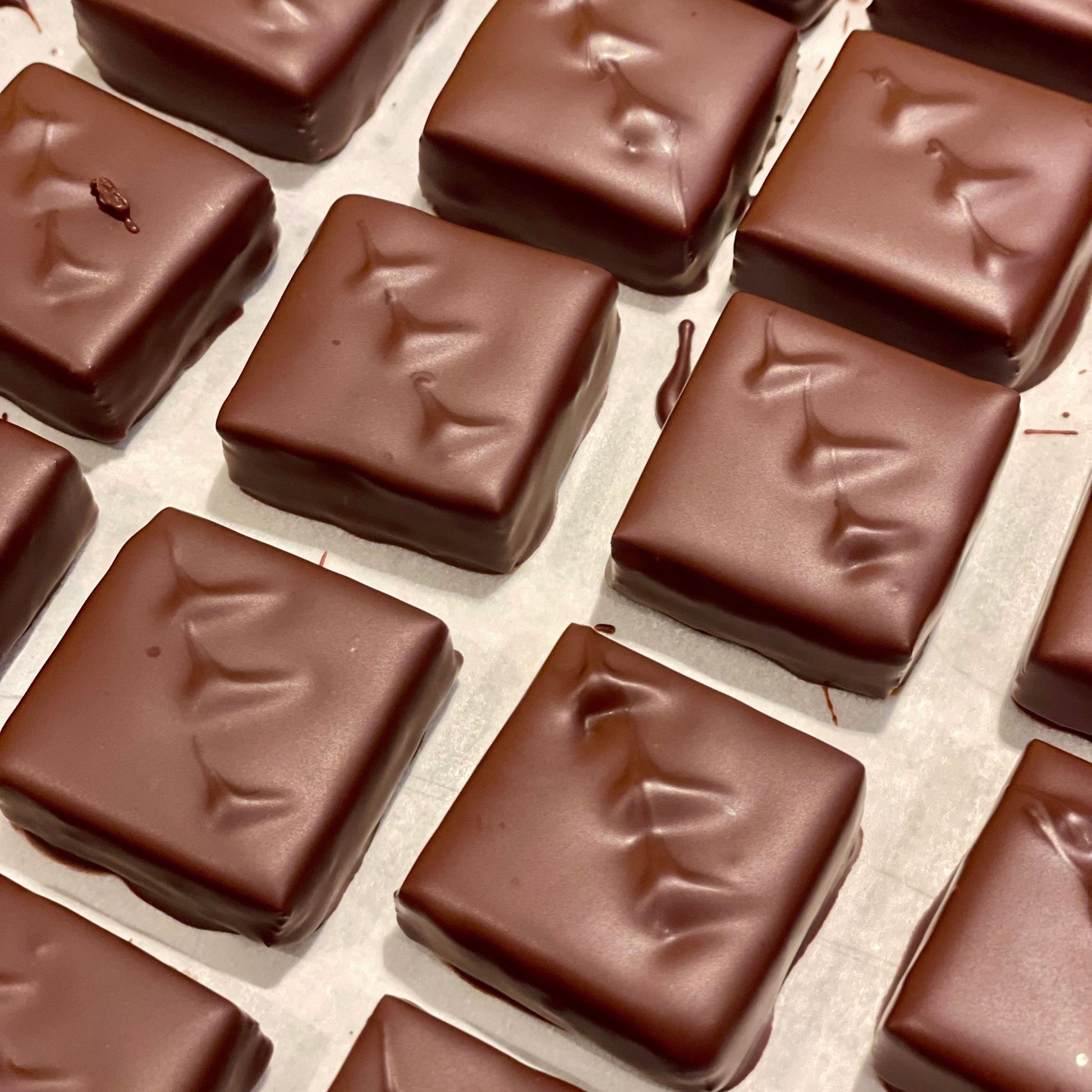overhead view of square dark chocolate bonbons with decorative topping sitting in a grid on top of parchment paper.