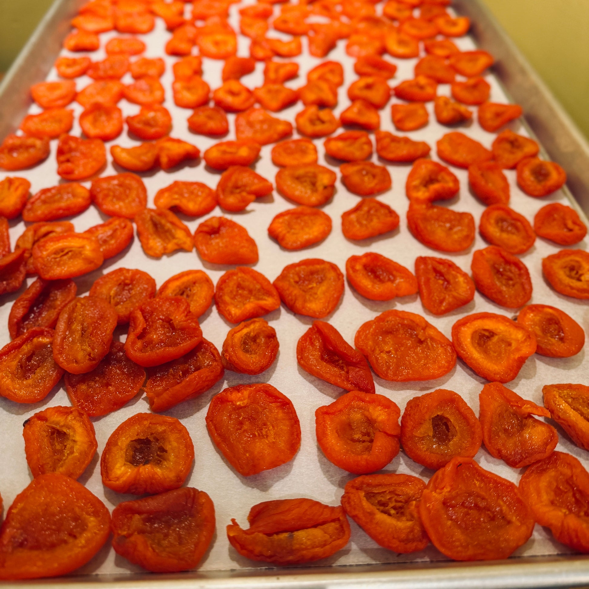 Dried apricots on a baking tray with a yellow wall background