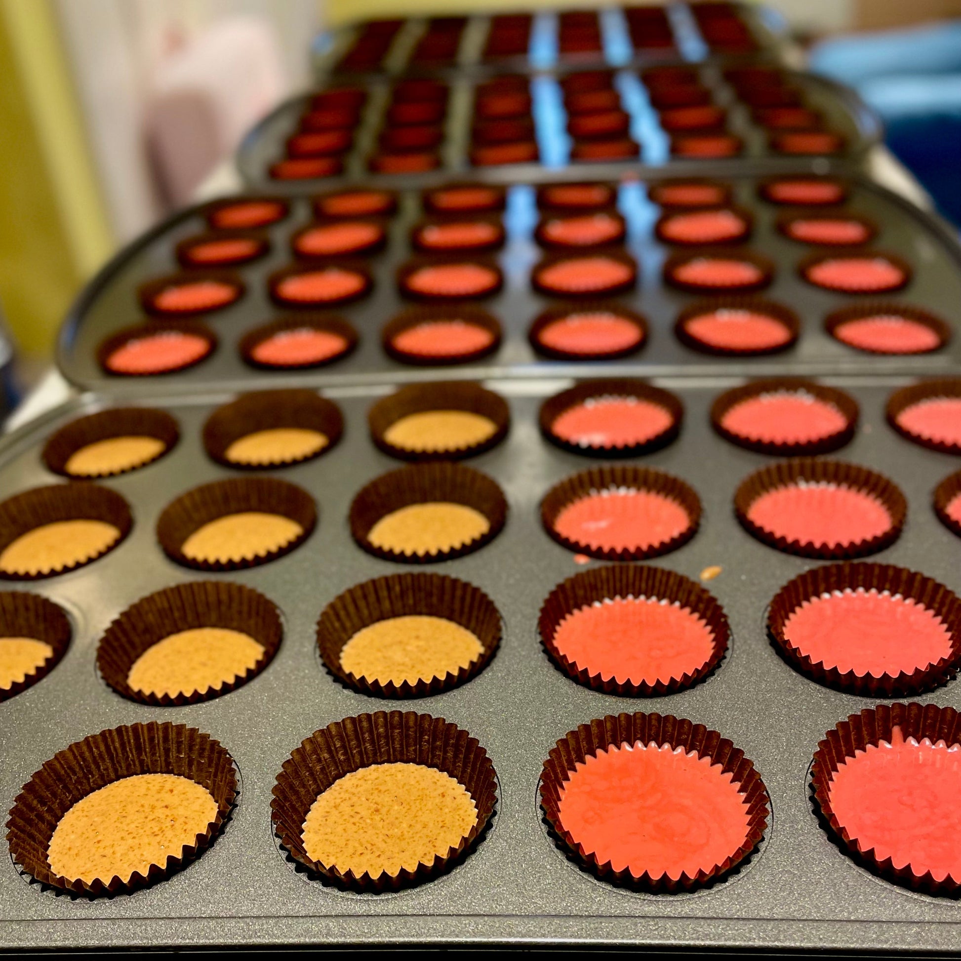 Baking trays with cupcake liners filled with different colored praline and ganache.