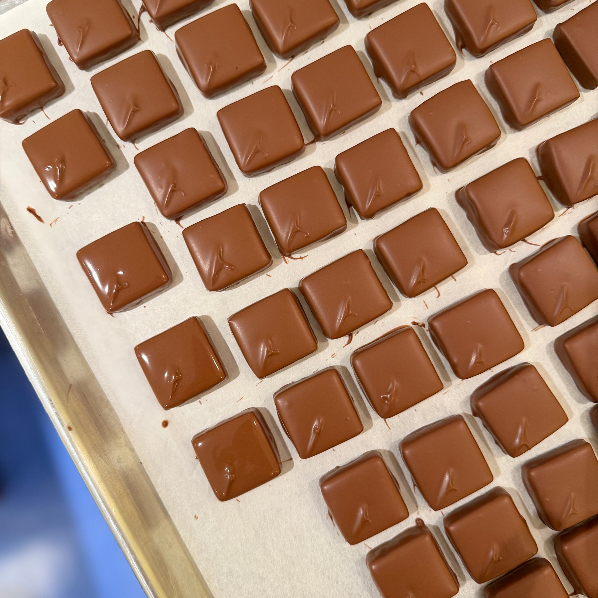 Milk chocolate dipped squares
