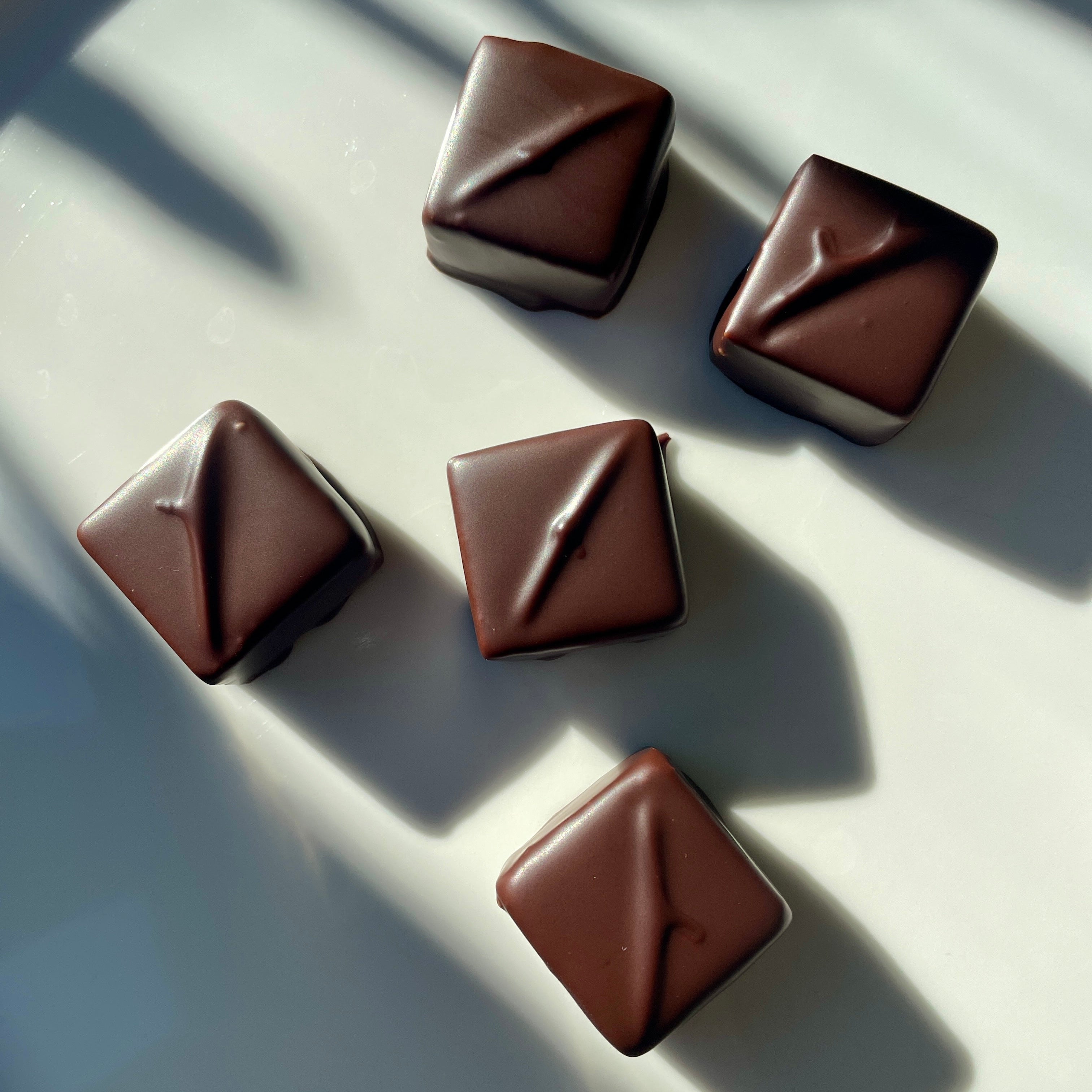 Chocolate Squares on white background