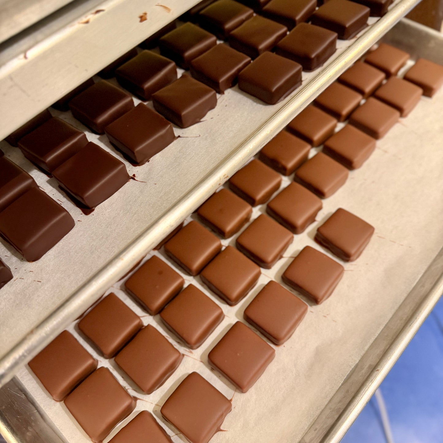 two trays of dark chocolate and milk chocolate squares