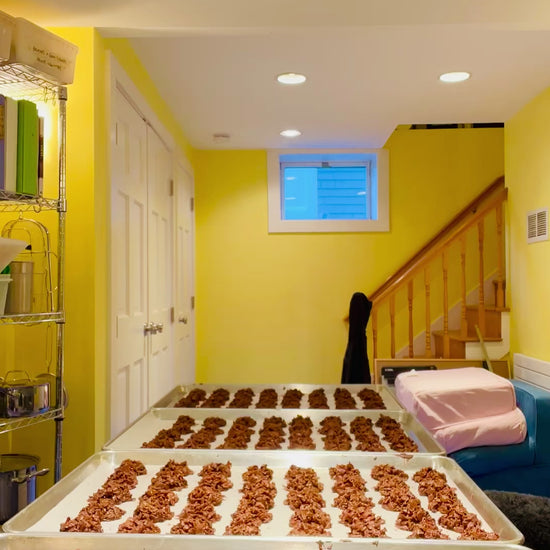 Video of person decorating tops of chocolate pieces